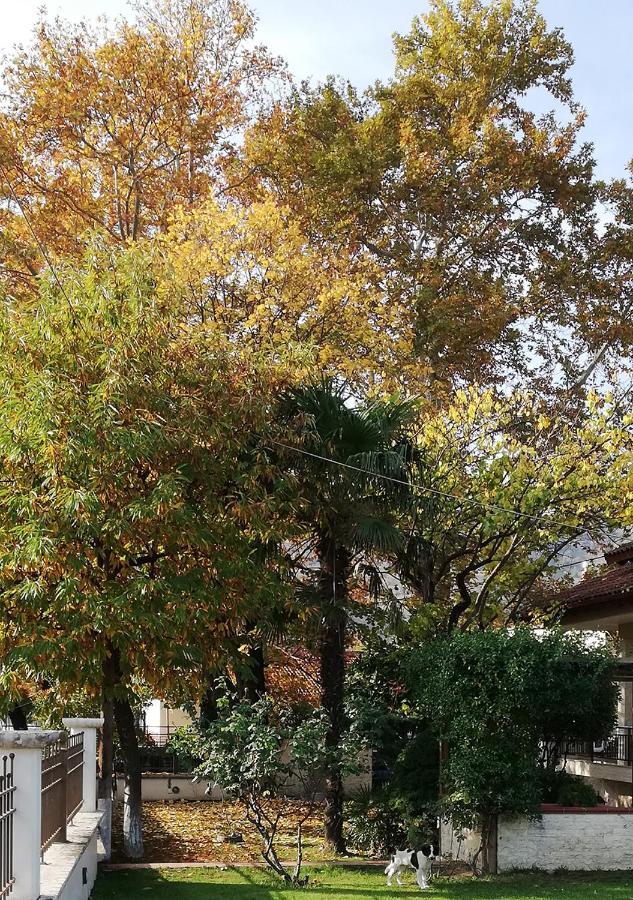 فيلا "The Plane Trees" Polikarpi المظهر الخارجي الصورة