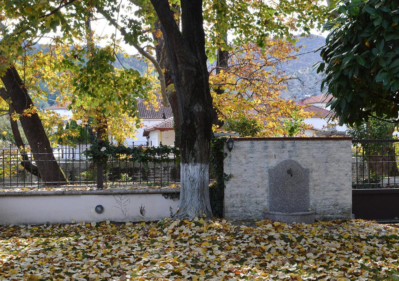 فيلا "The Plane Trees" Polikarpi المظهر الخارجي الصورة